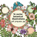 Vector Botanical Illustrations for Your Creativity cover.