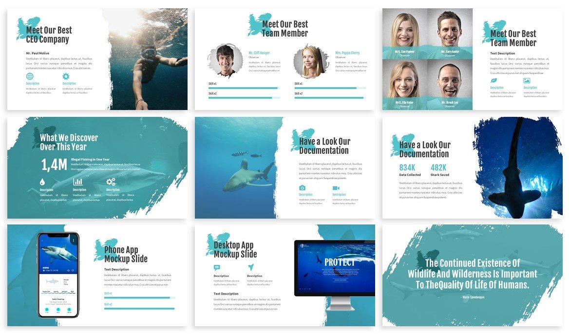 Aequor Sealife is a mobile friendly template with an adaptive design.