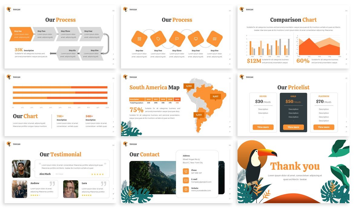 Toucan Tropical includes the thematic infographics.
