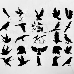 Bird SVG – Bird Silhouette – Bird Bundle facebook.