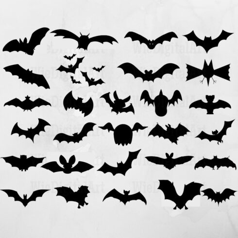 Bunch of bats that are on a wall.
