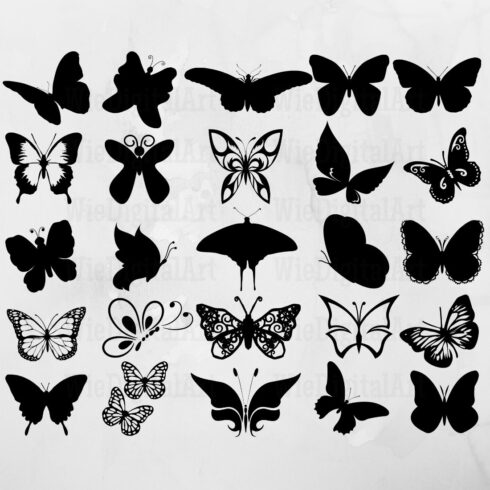 Bunch of black and white butterflies on a white background.