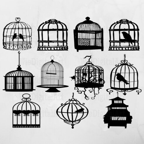 Bunch of bird cages with birds in them.