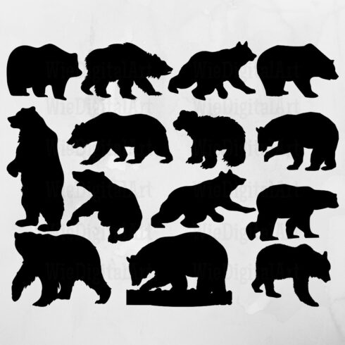 Bear SVG & Bear Silhouette facebook.