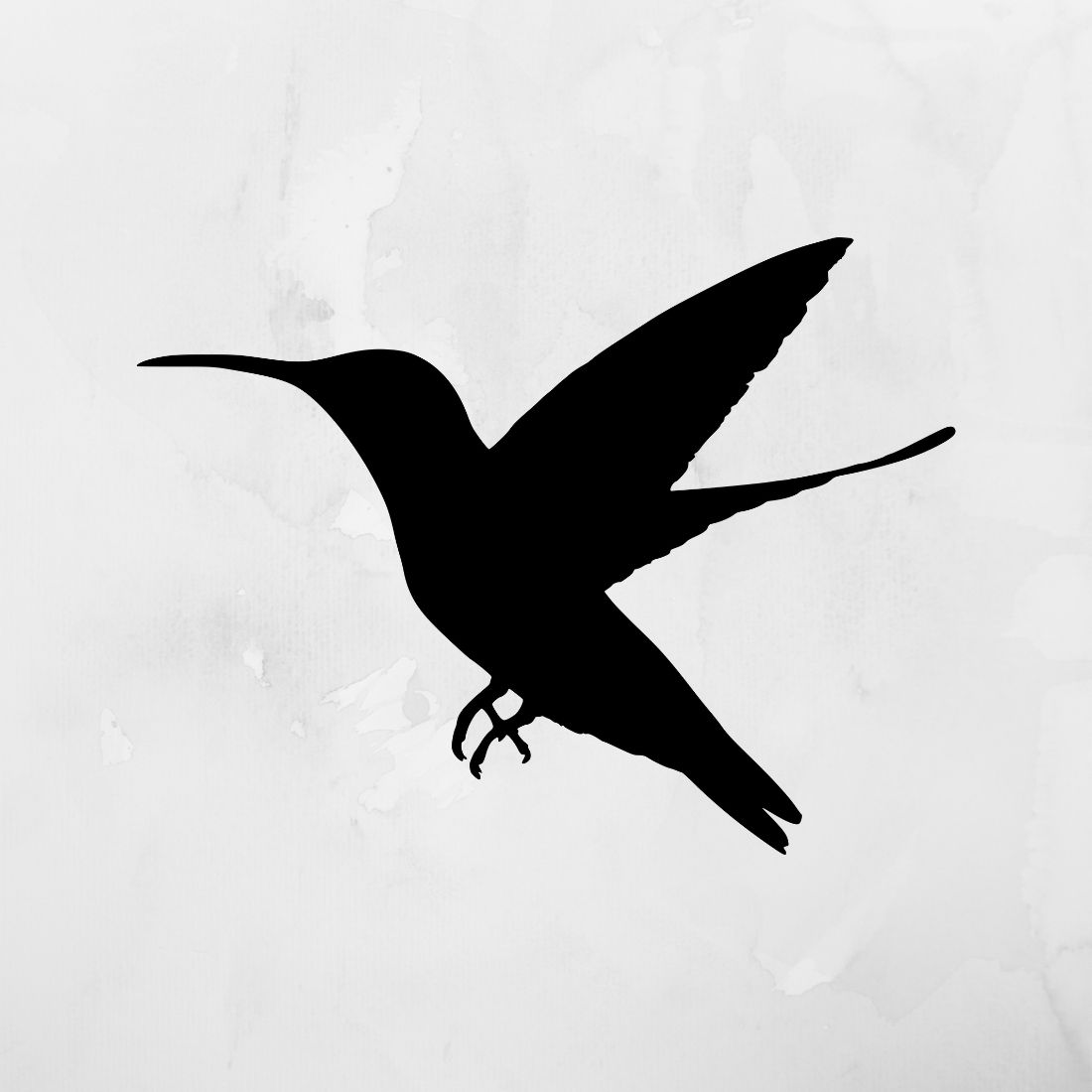 Black and white photo of a bird flying.