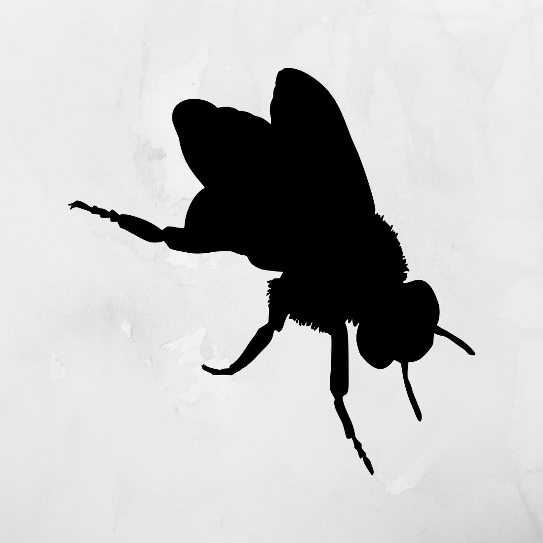 Bee SVG cover.