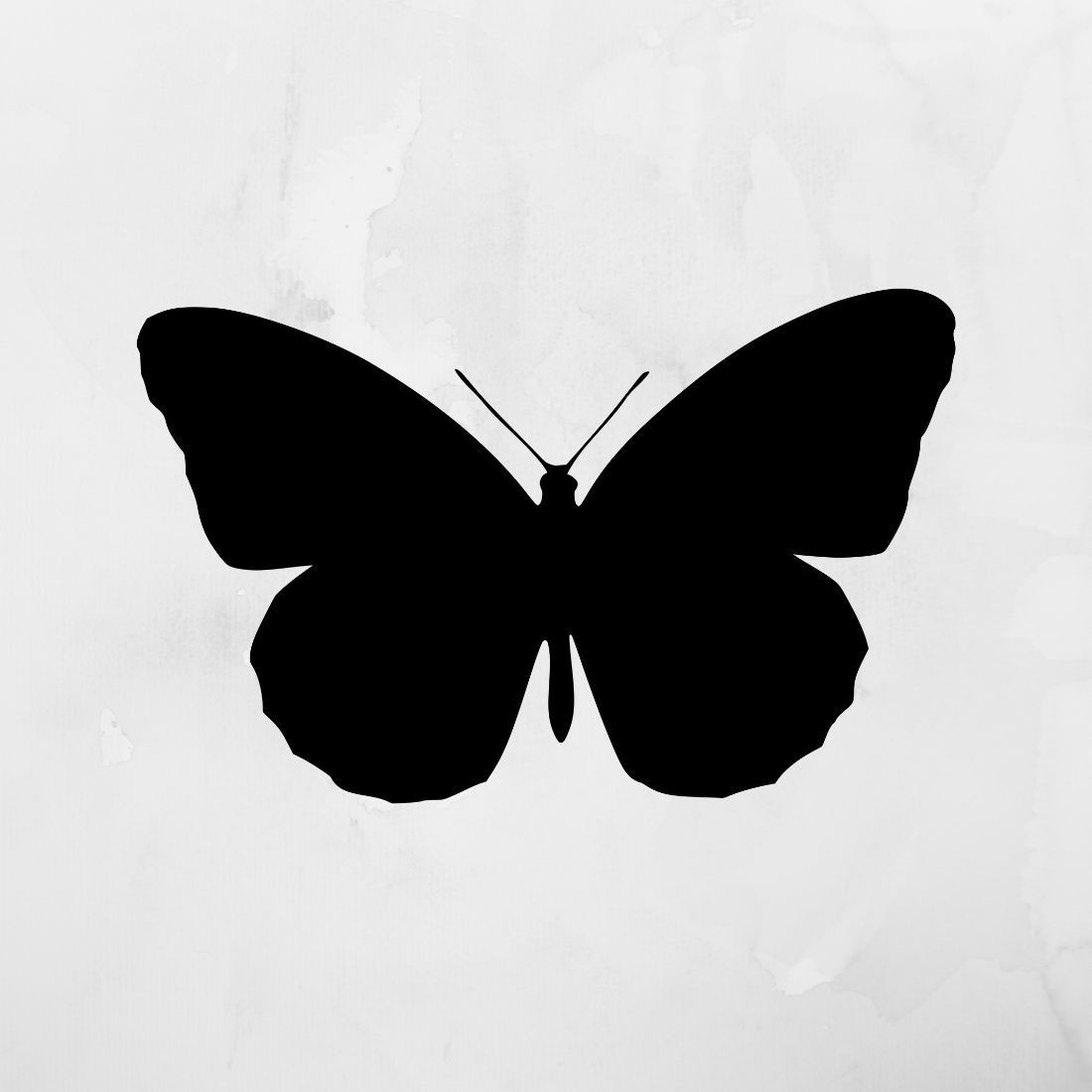 Butterfly svg, Floral butterfly svg, Butterfly silhouette By