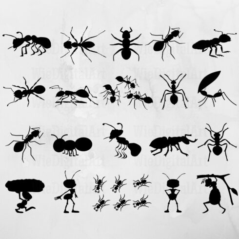 Bunch of bugs and antelopes silhouettes on a white background.