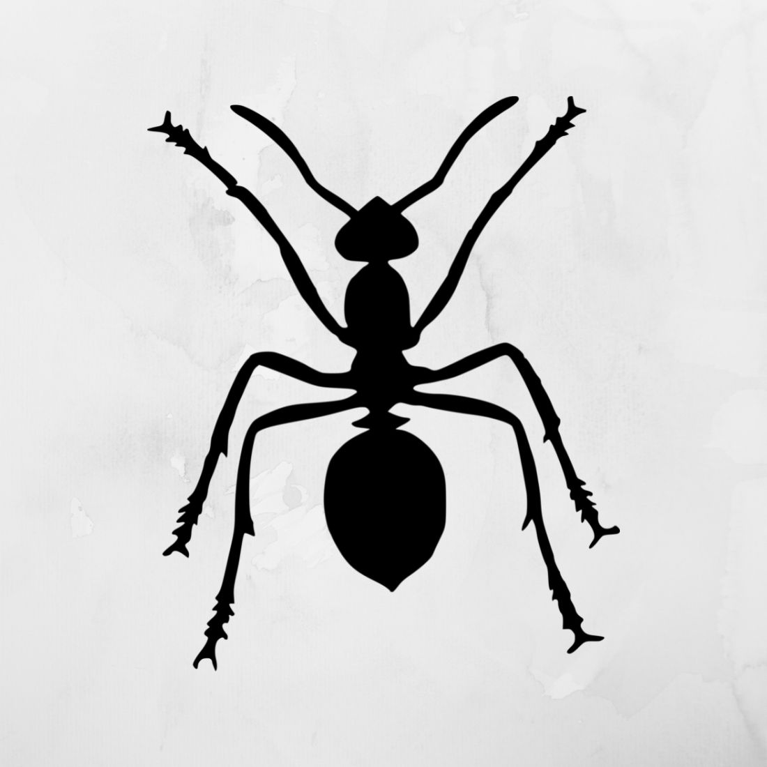 Ant SVG & Ant Silhouette facebook cover.