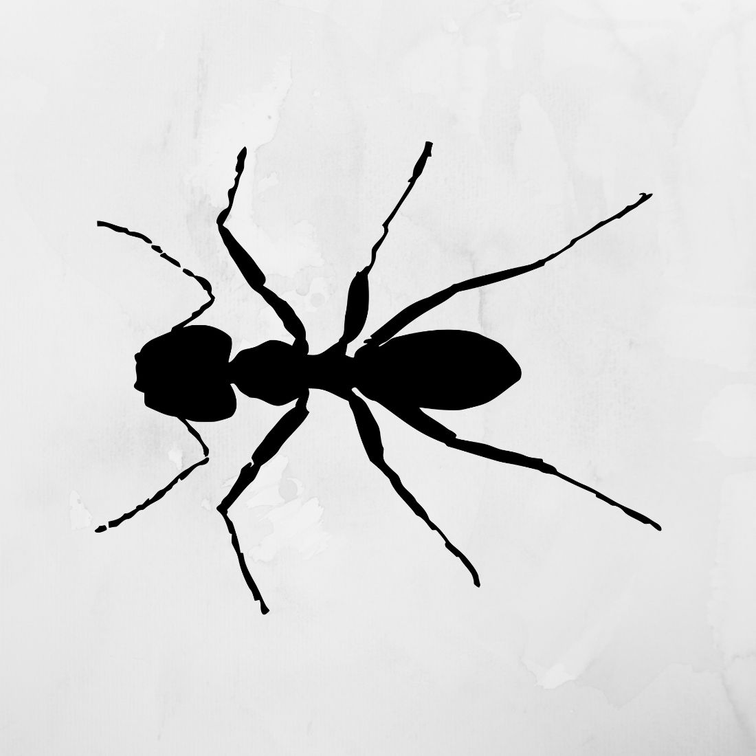 Ant SVG & Ant Silhouette preview.