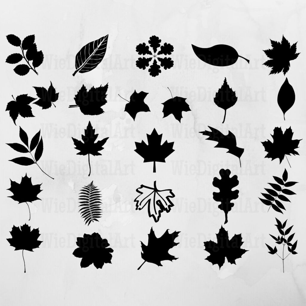 Fall Leaves SVG, JPG & PNG | Fall Leaves Clip Art | Master Bundles