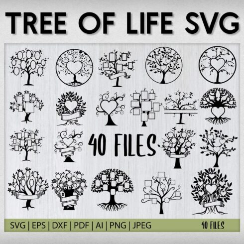 You will receive 40 Files of Tree SVG Bundle.