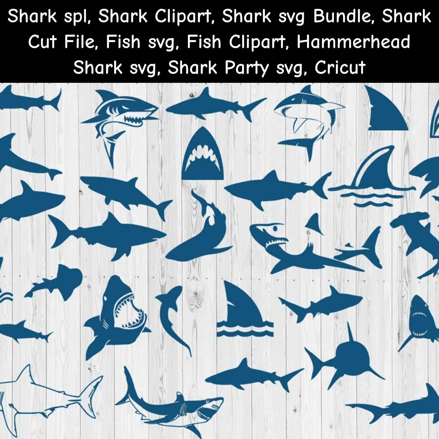 Sharks svg Bundle.