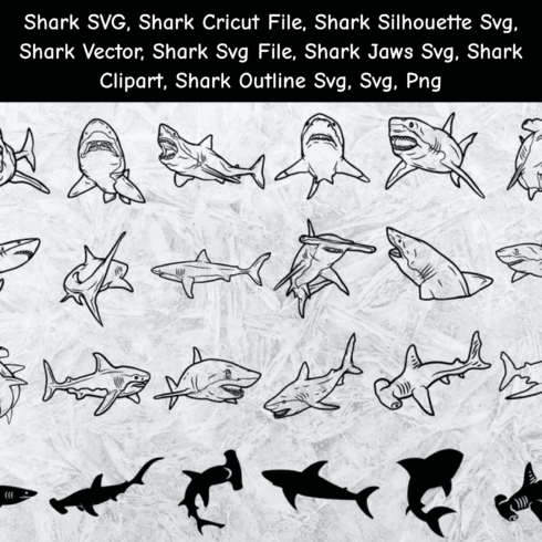 Drawing of sharks and sharks in black and white.