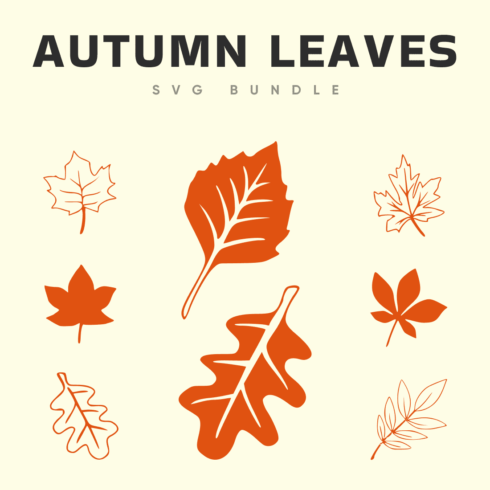 Hand drawn autumn leaves bundle.