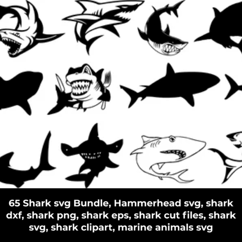 Bunch of shark stickers on a white background.