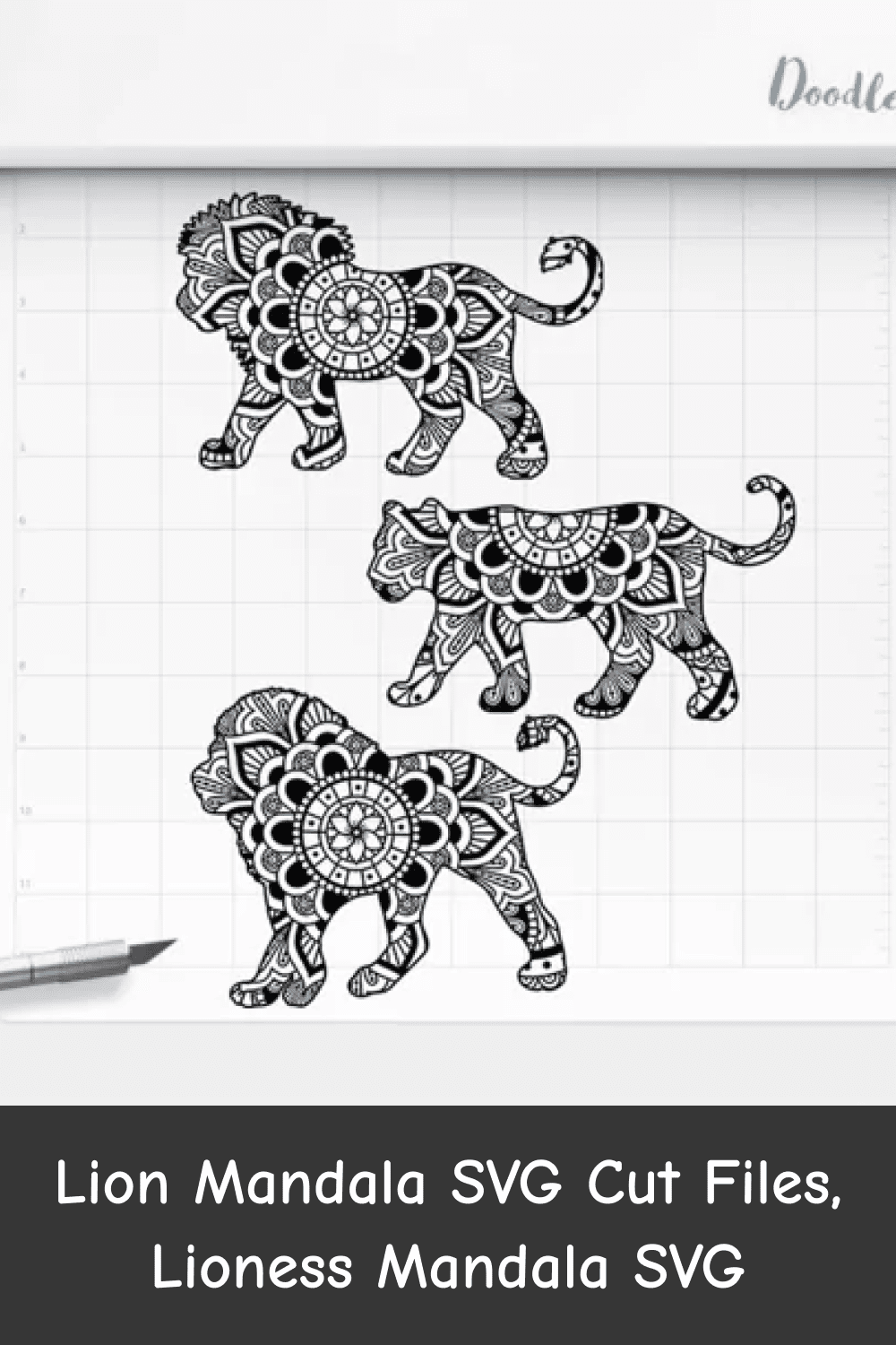 Lioness Mandala SVG.
