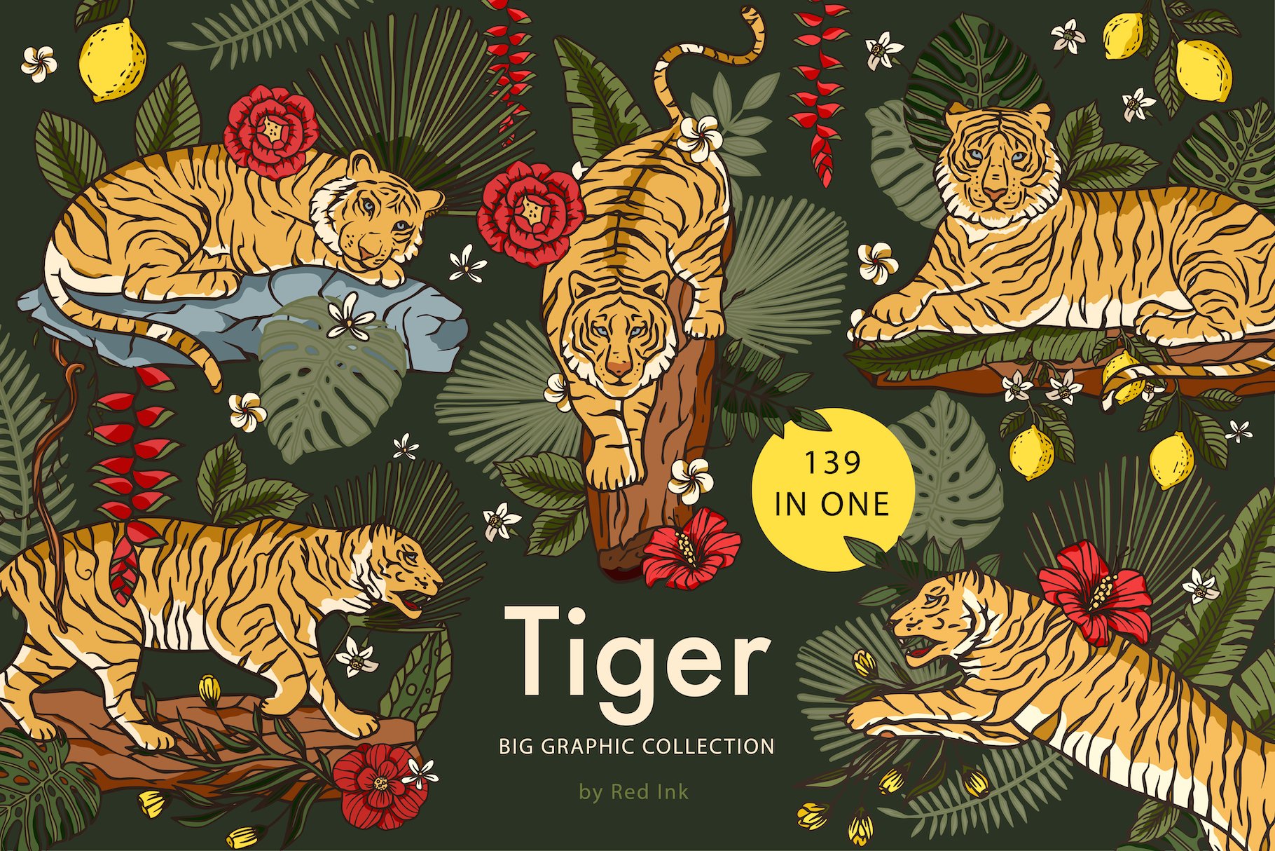 Tiger illustration. Graphic bundle.