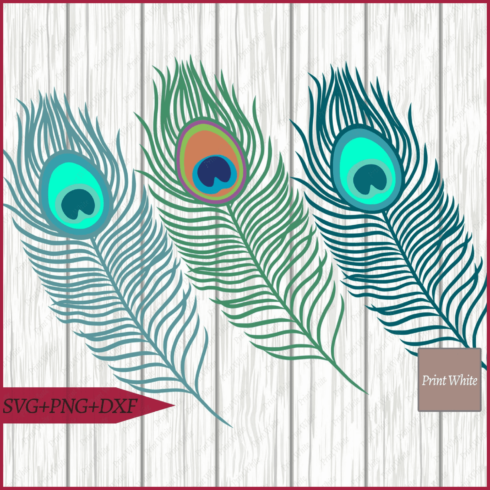 Three peacock feathers on a wooden background.