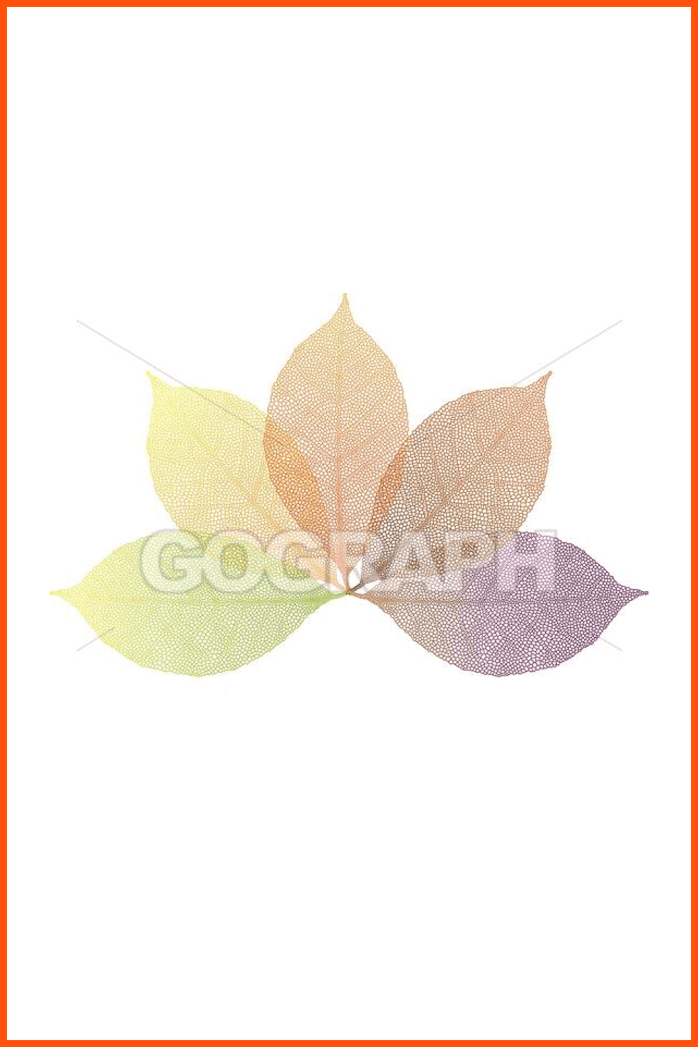 Autumn Leaves Vector.