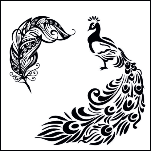 Peacock SVG – MasterBundles