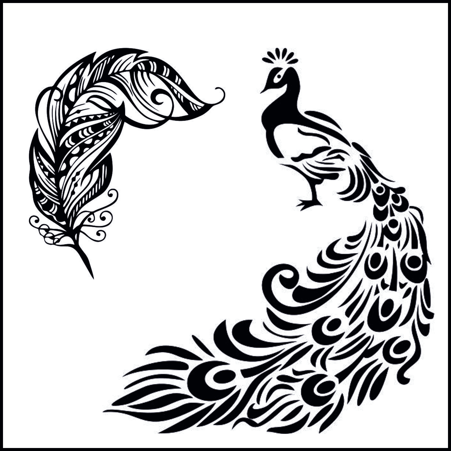 peacock svg cover.