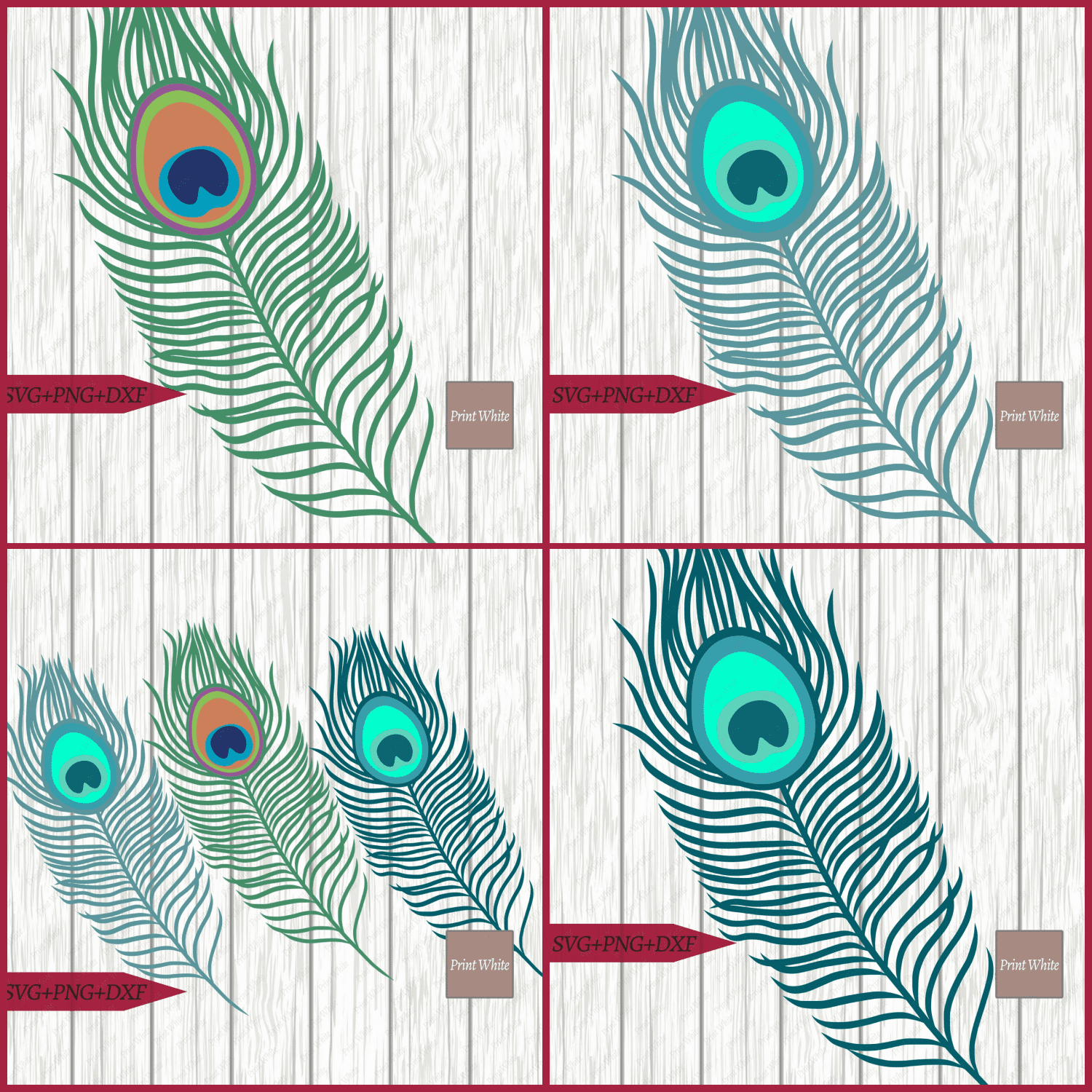 Peacock Feather Svg cover.