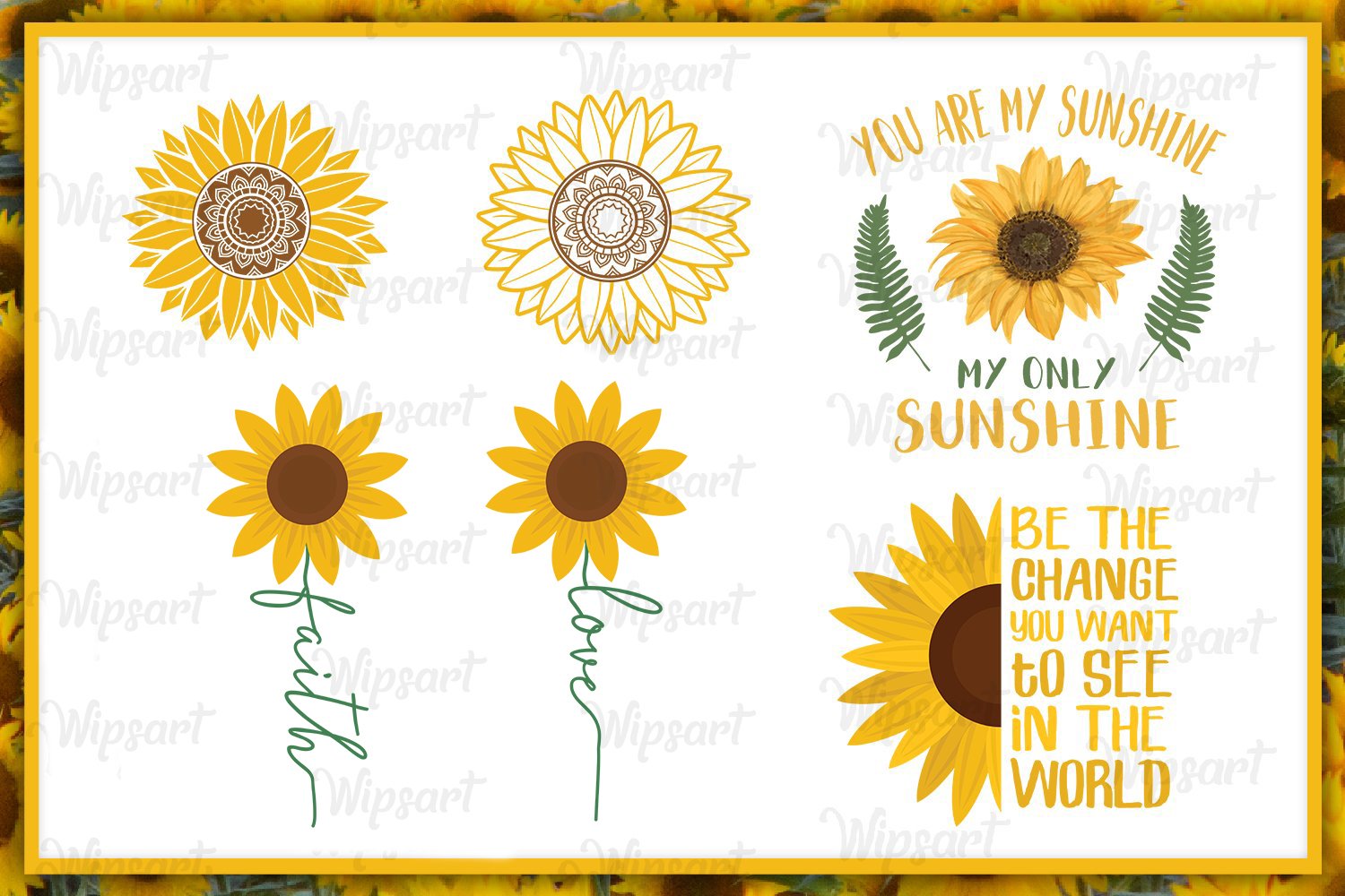 Modern sunflower illustrations.