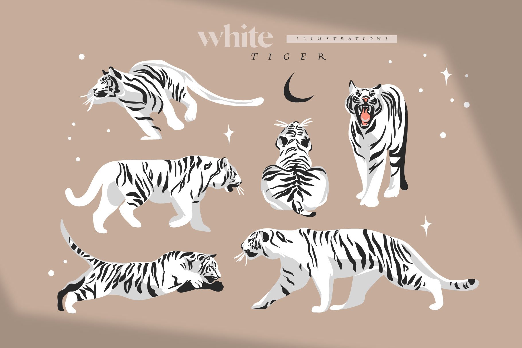 White tiger.