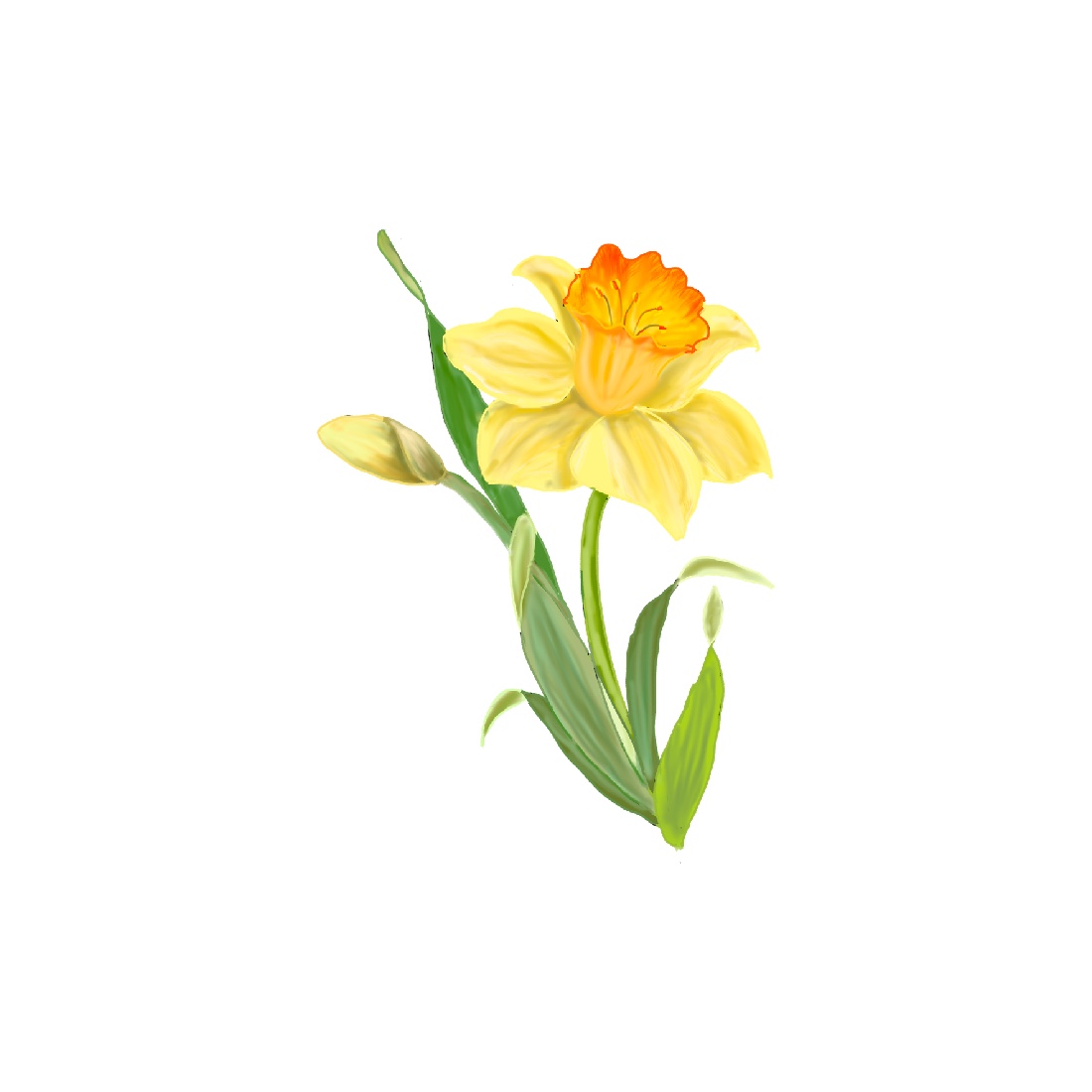 Beautiful Spring Flowers. Easter Clipart