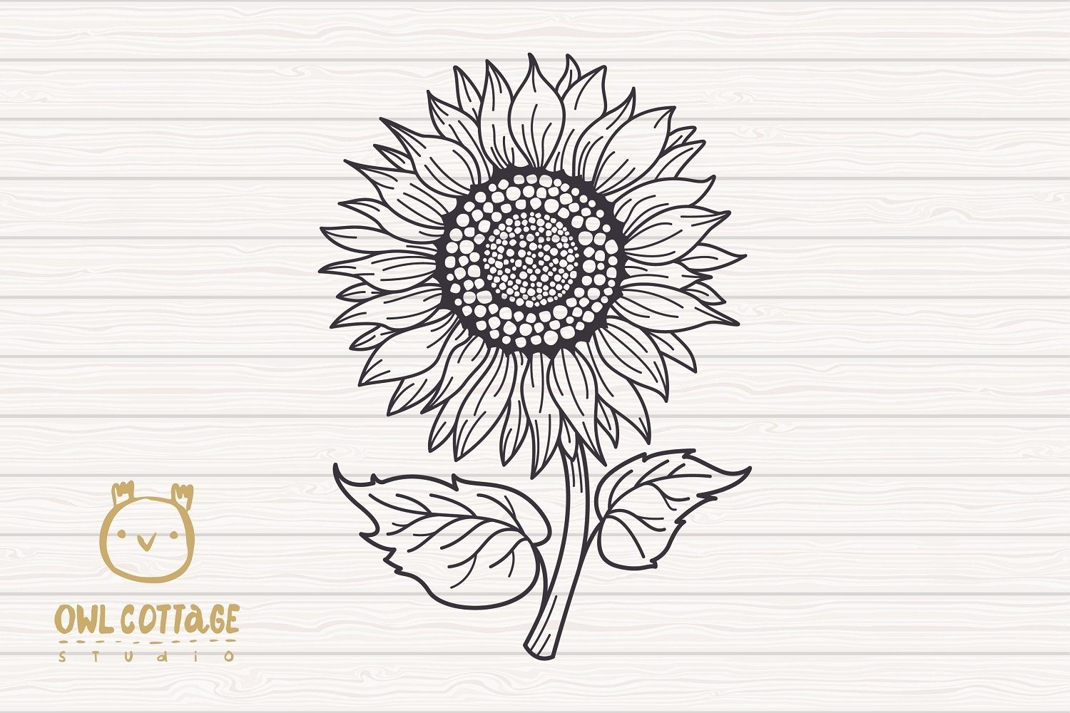 Hand-drawn sunflower.