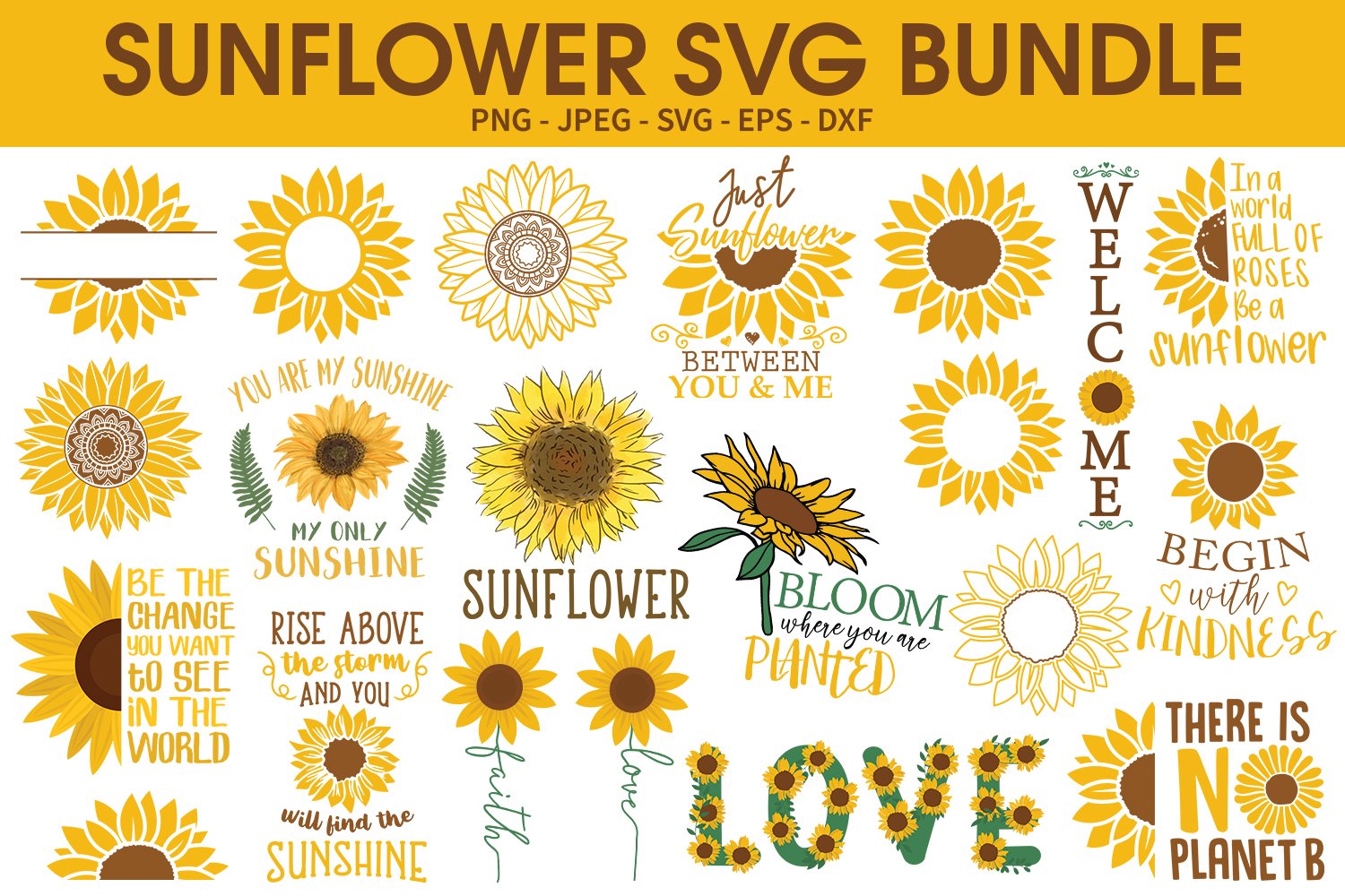 Diverse of sunflowers illustrations.