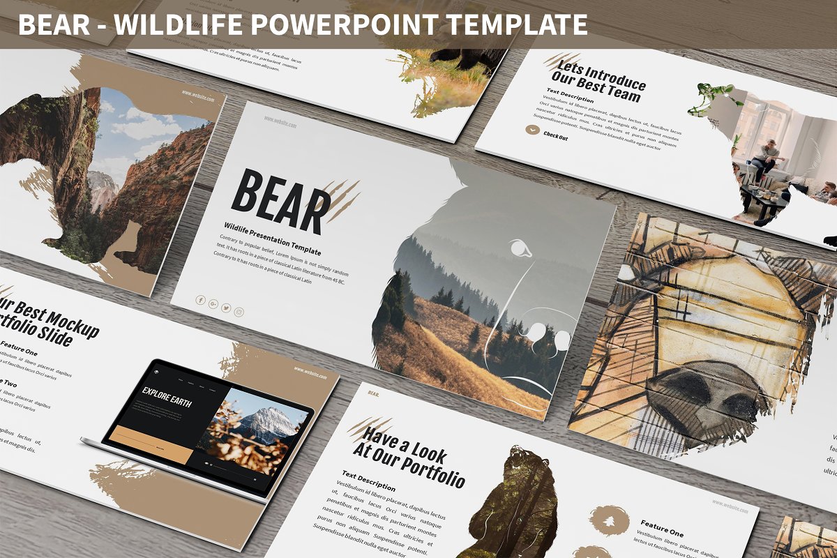 Cover image of Bear - Wildlife Powerpoint Template.