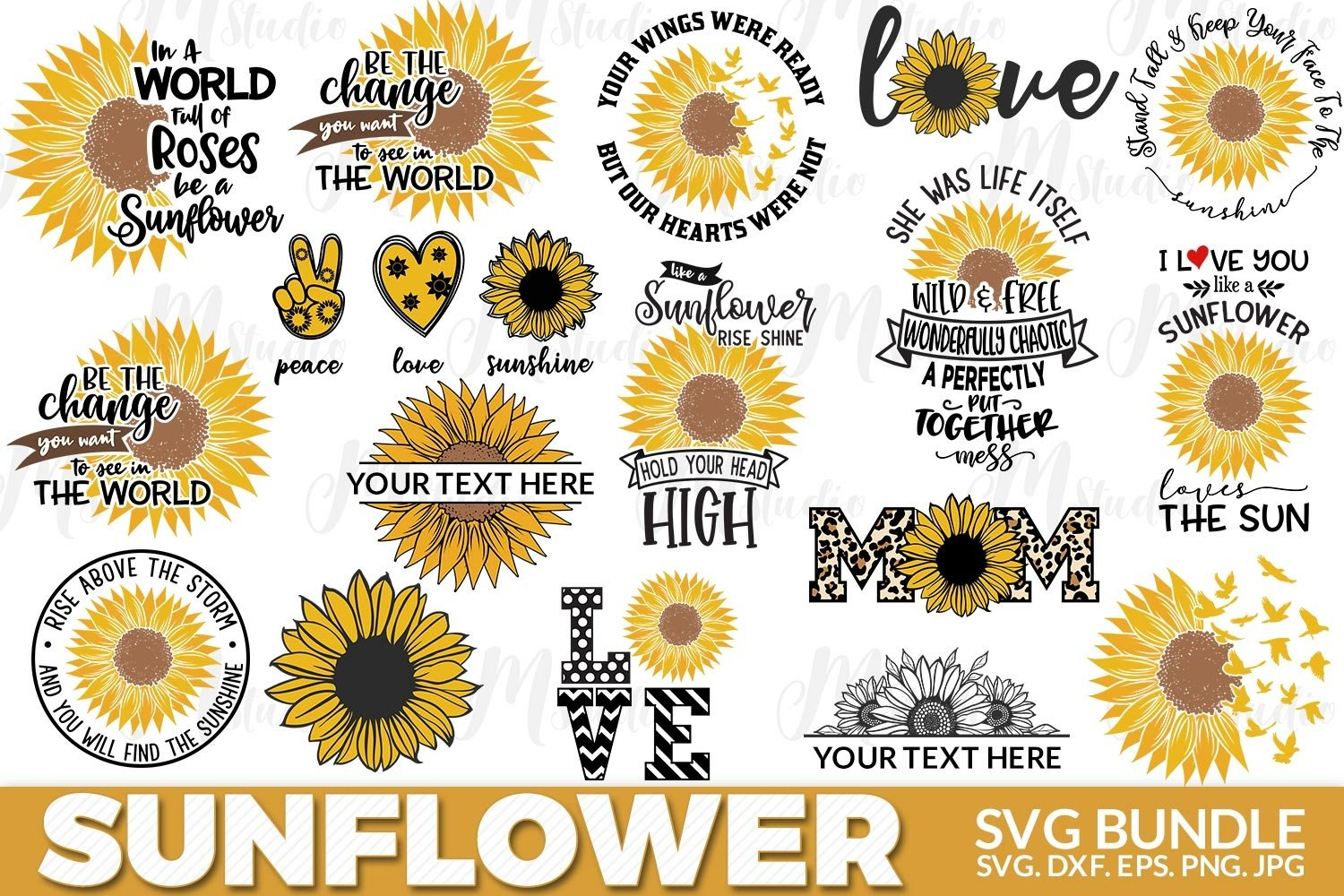 Diverse of sunflowers illustrations.