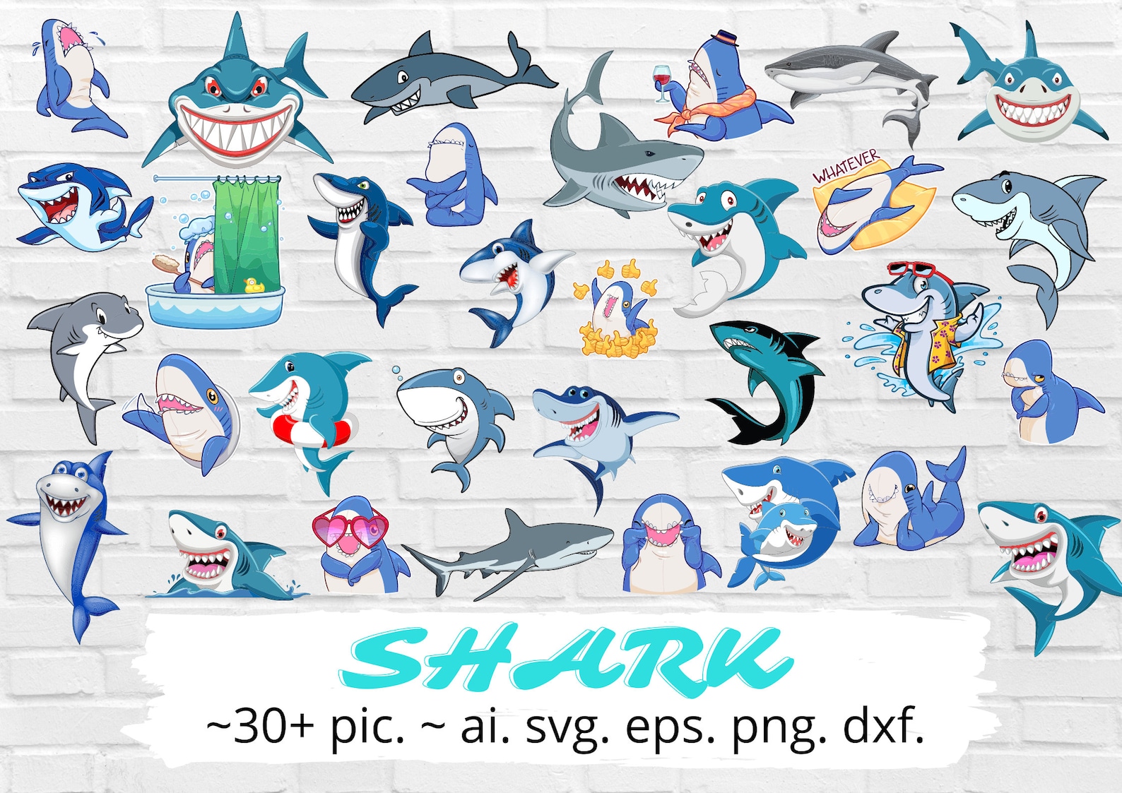 Shark collection.