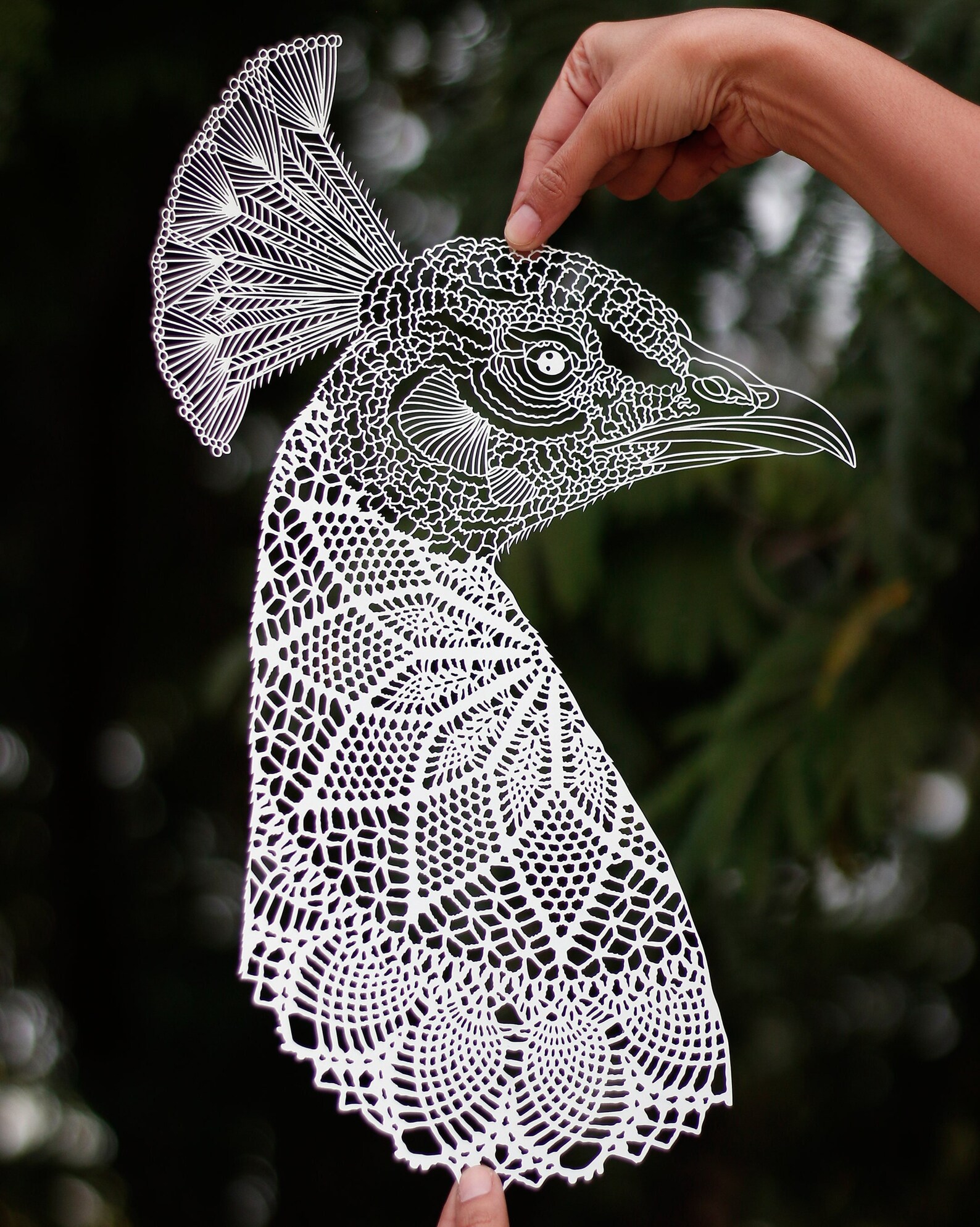 Peacock Bird Papercut Template.