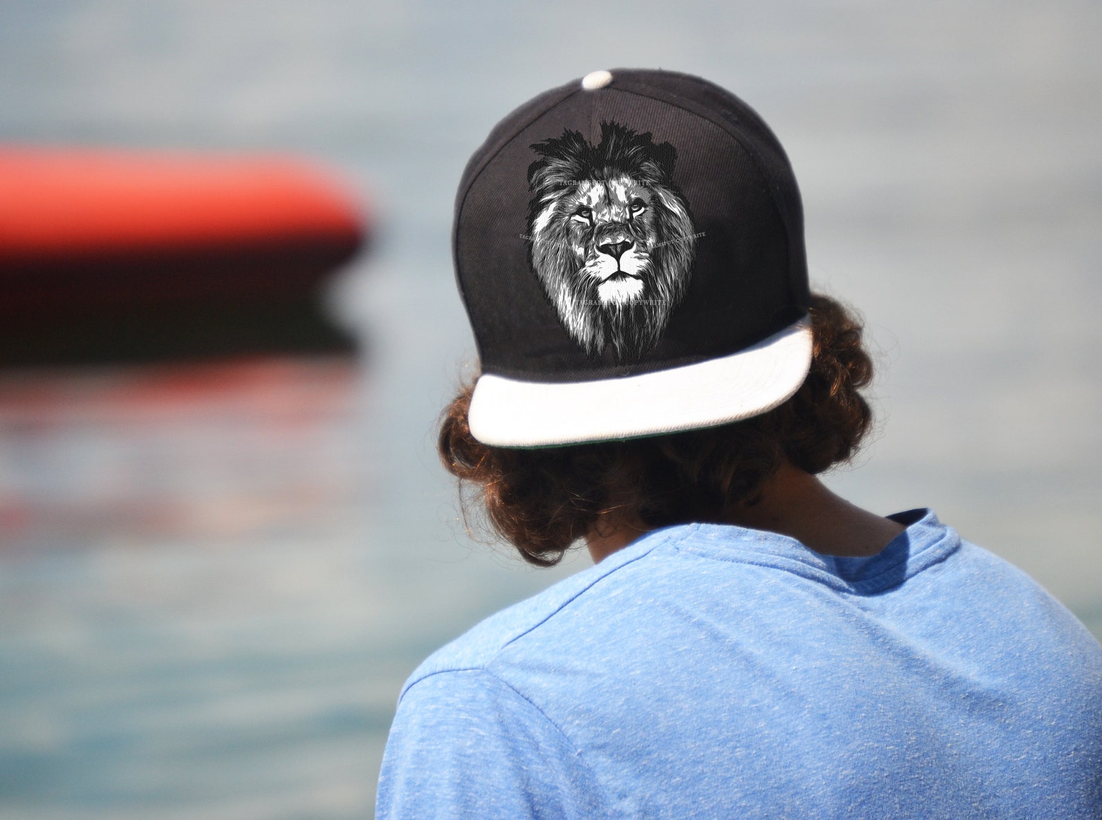Cap with lions.