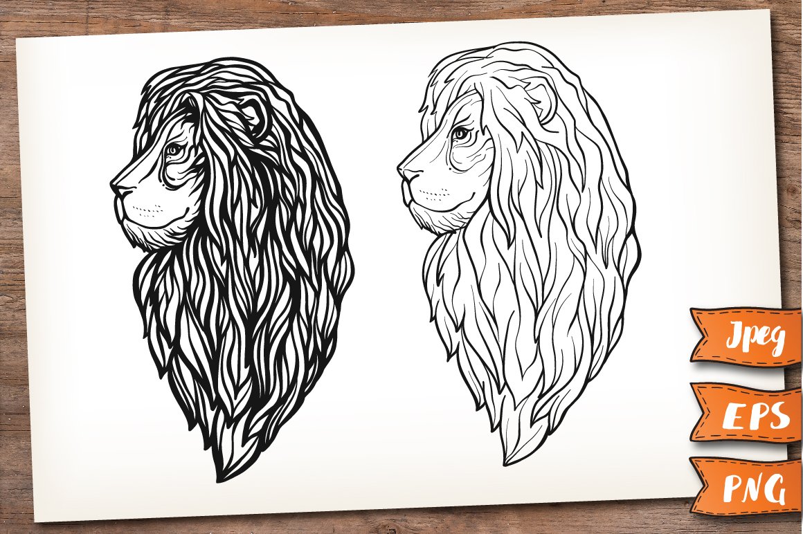 Lion. Graphic set.