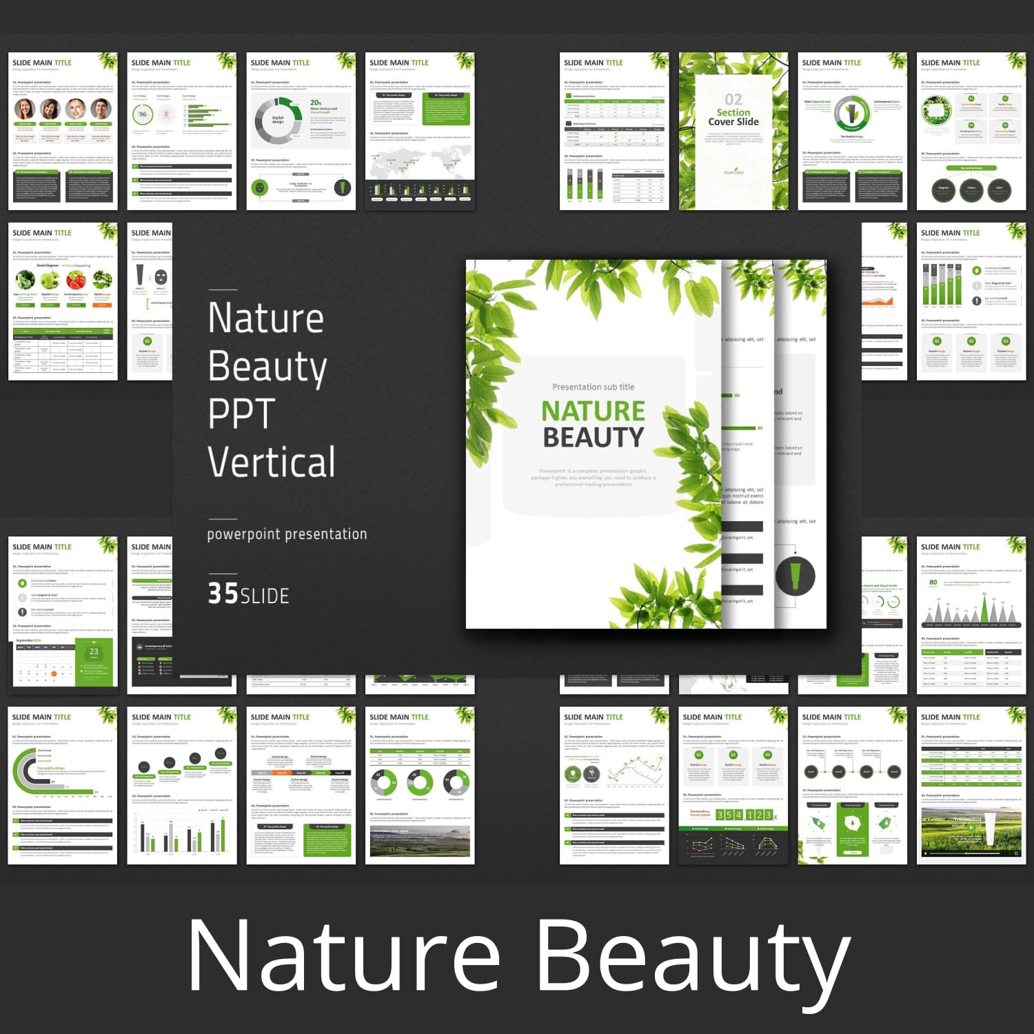 This Nature Beauty PPT Vertical presentation template contains various sources that are necessary and useful to make your presentation professional and effective.