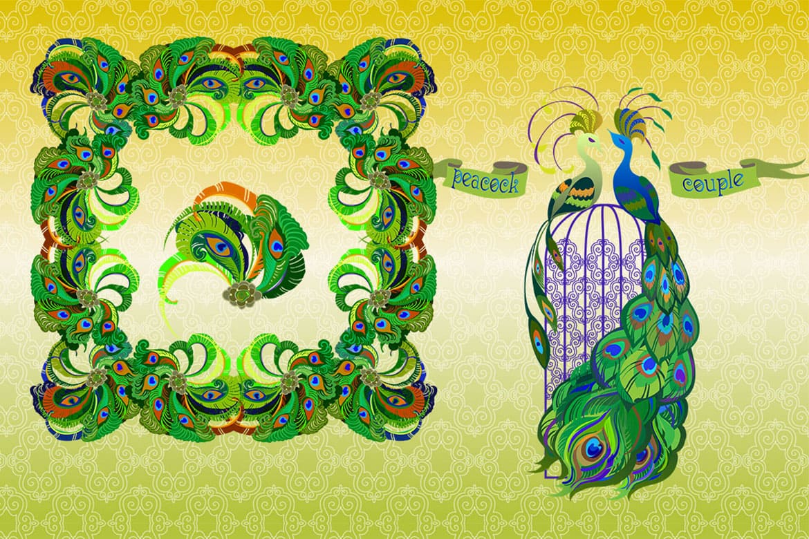 Peacock couple illustration.