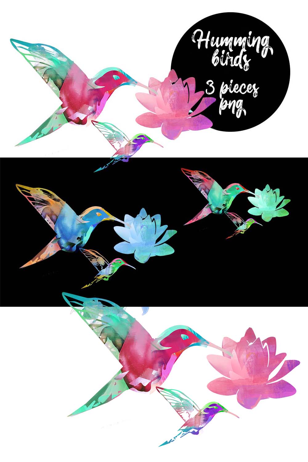 humming bird,watercolor, birds, lotus flower