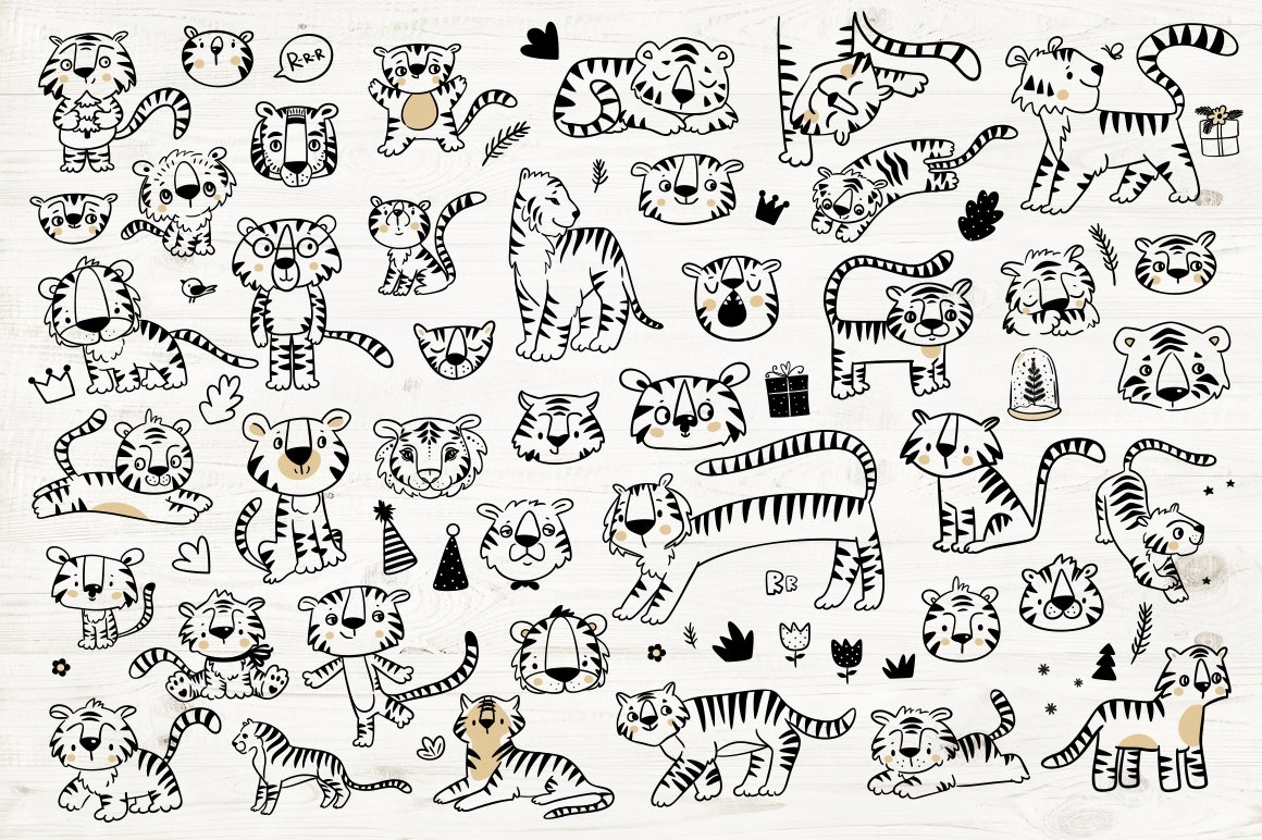 Tiger illustration.