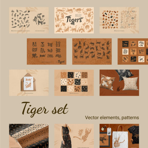 Tiger set. Vector elements, patterns.