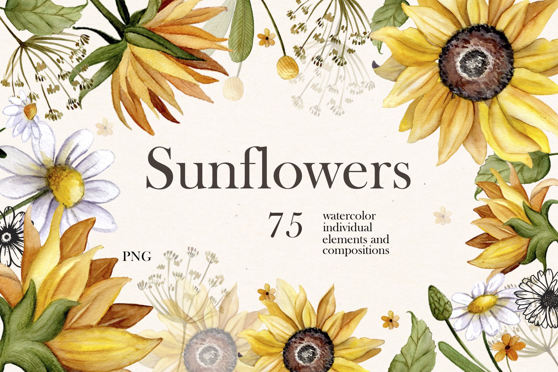 Watercolor Sunflowers and Daisies.