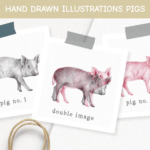 Hand drawn Illustrations Pigs.