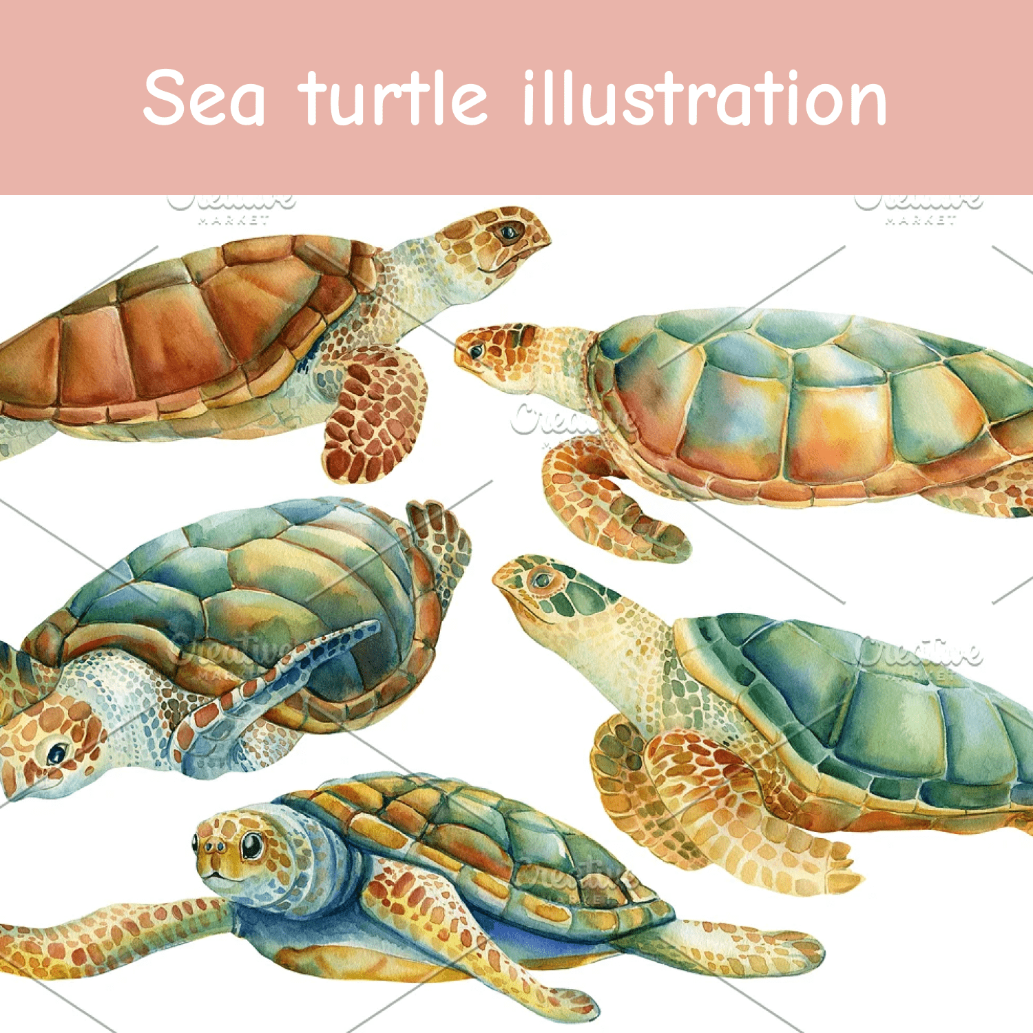 Sea turtle illustration cover.