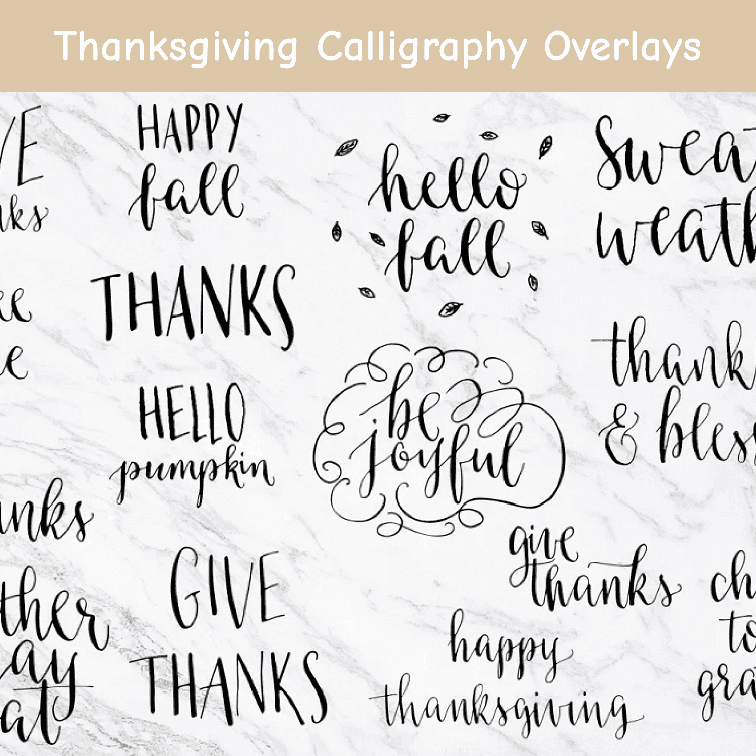 Thanksgiving Calligraphy Overlays.