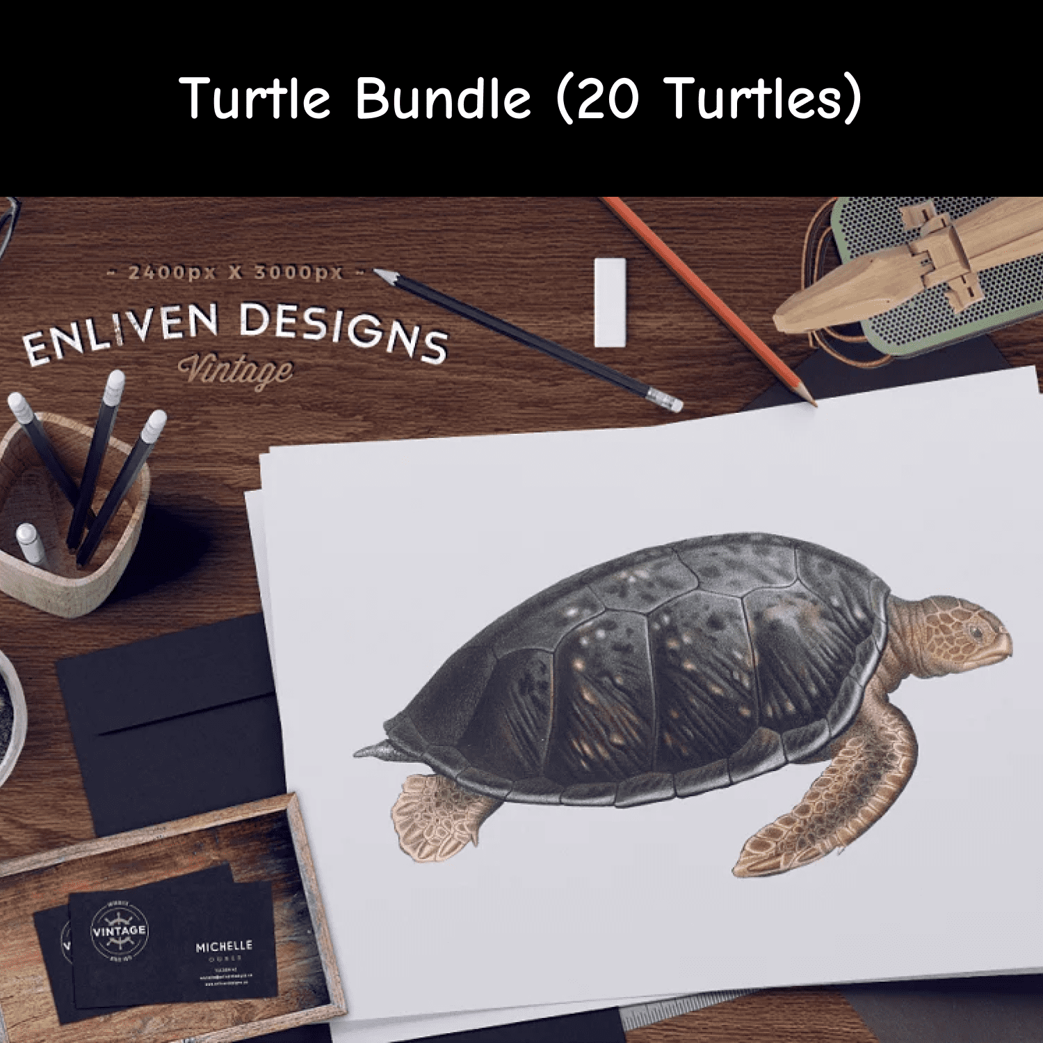 Turtle Bundle (20 Turtles) cover.