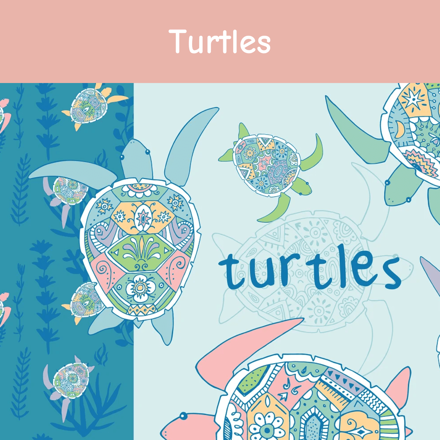 Turtles cover.