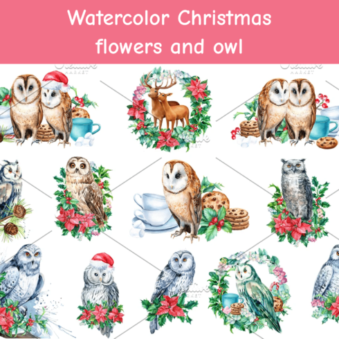 Watercolor Christmas flowers and owl.